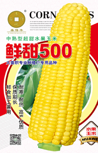 鲜甜500